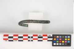 Foto von Bronzearmreif (NHMW-PRAE-026326)